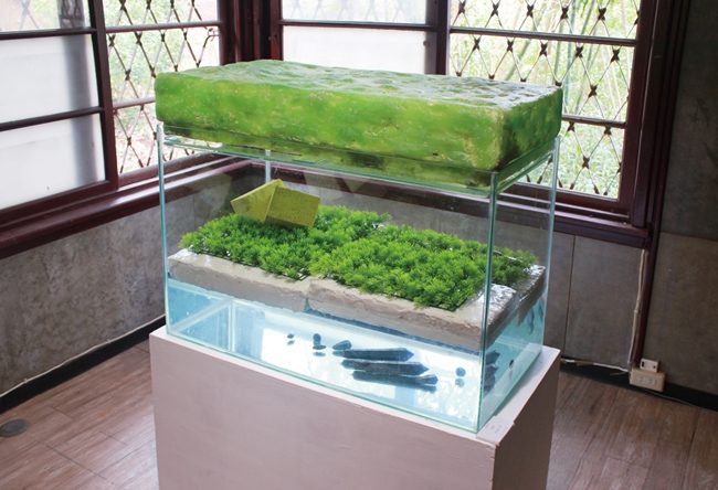 [東海43號] 佩特里皿 | 張瑞庭、黃祈箏、鄭絜尹