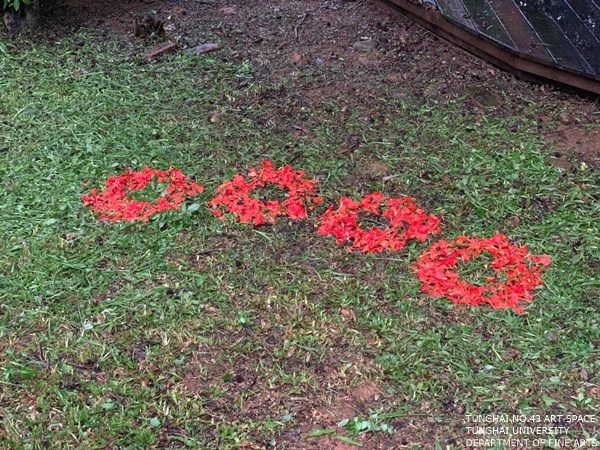 [東海43號]□惜肝□不惜肝 —— 課程成果展