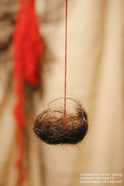 [東海43號] 無腳鳥 | 林品妤