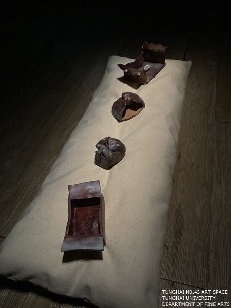 [東海43號]沾黏/疤痕組織 | 徐晴