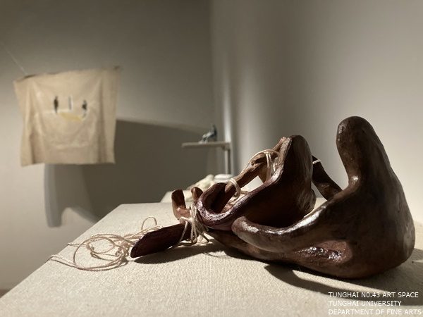 [東海43號]沾黏/疤痕組織 | 徐晴