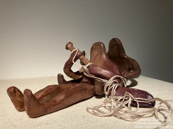 [東海43號]沾黏/疤痕組織 | 徐晴