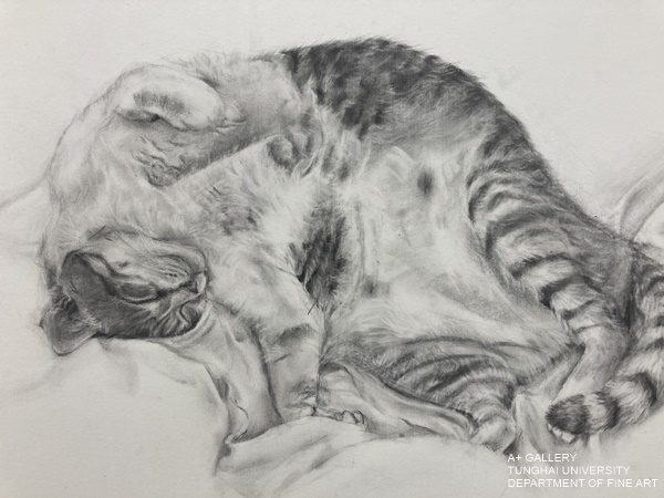 [A+藝術空間]素描三聯作-專題素描成果展 | 指導老師：張守為